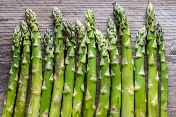 Asparagus-Conference