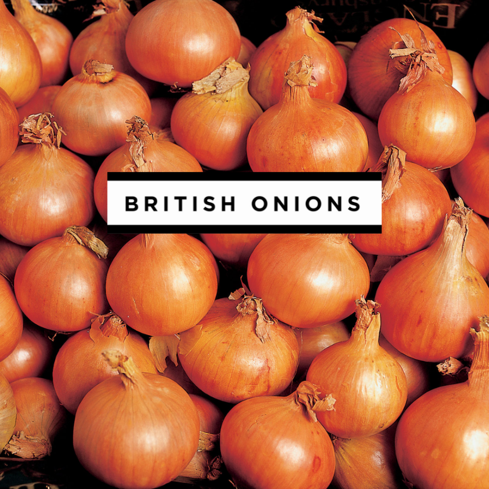 British Onions Technical Event & Agronomy Trials 16th November 2023