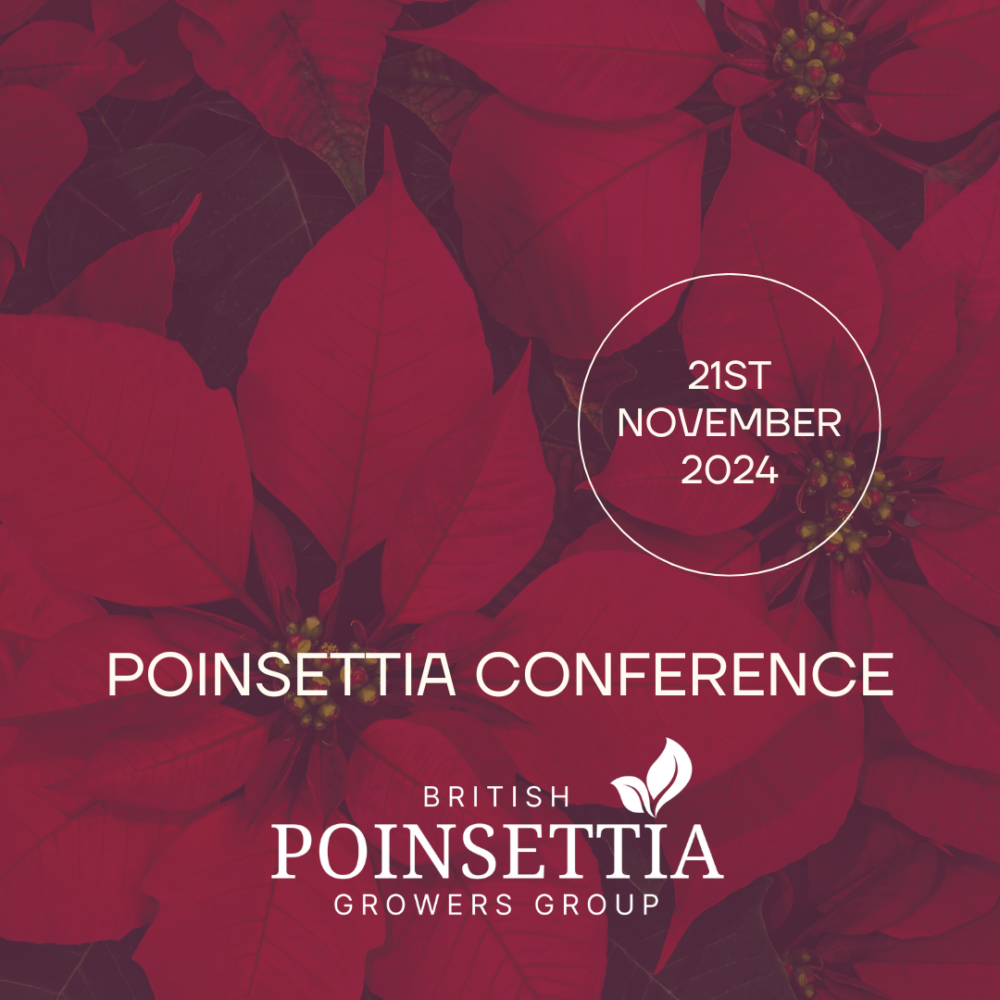 6-british-poinsettia-growers-group-conference-21-november-2024