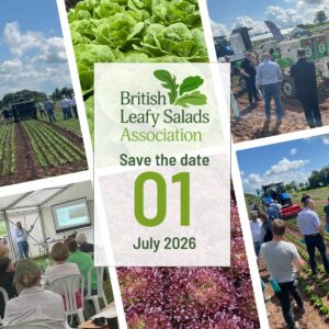 British Leafy Salads Demo Day - 1st July 2026