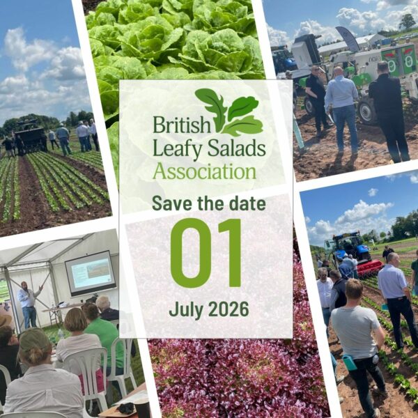 British Leafy Salads Demo Day - 1st July 2026